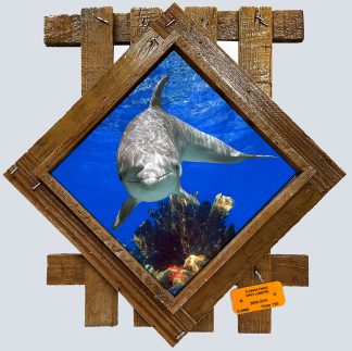 "Dolphin Diving"