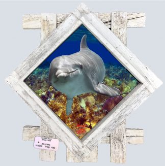 "Dolphin in the Carribean"