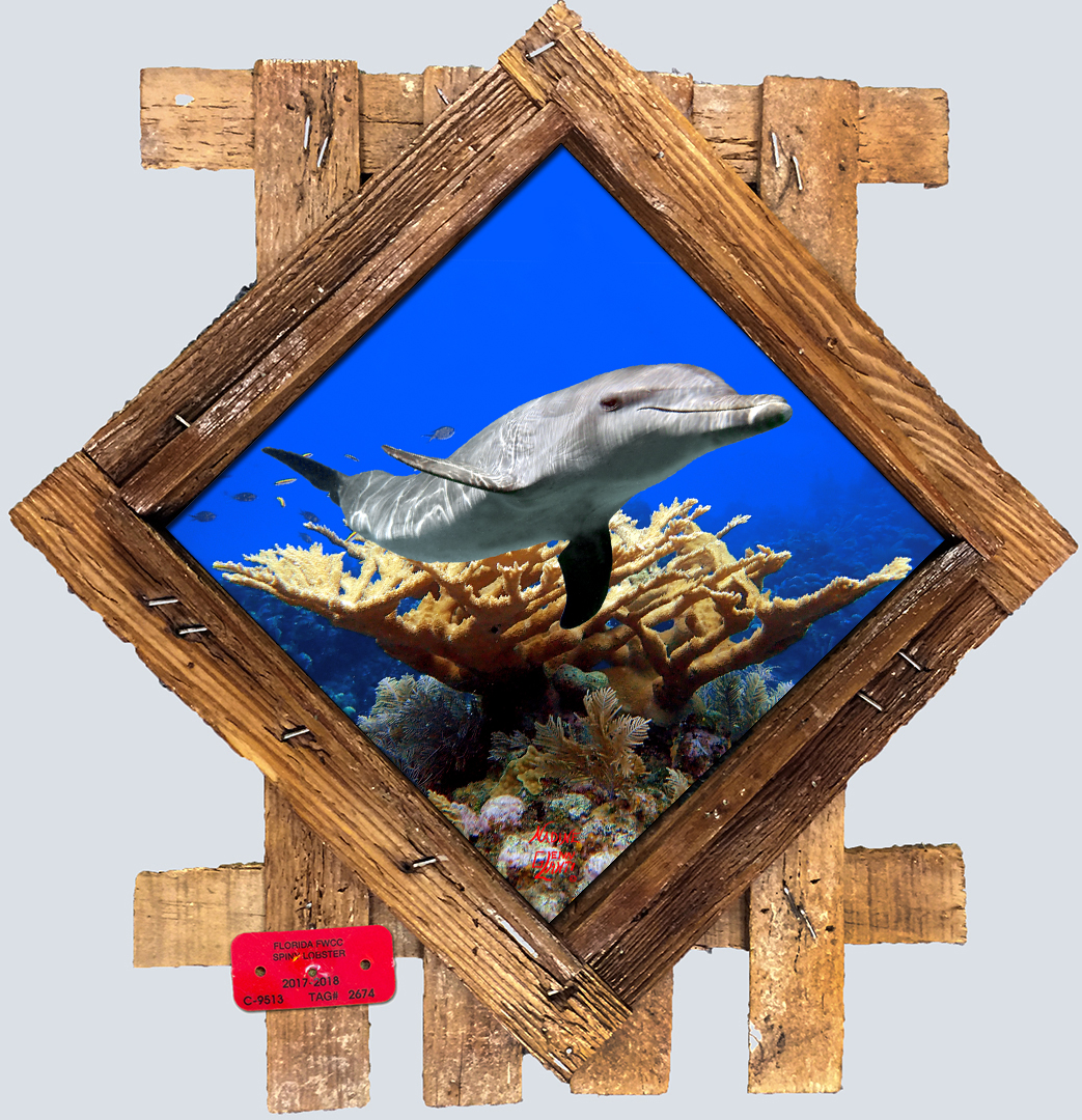 "Dolphin on the Reef"