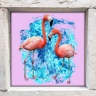 "Flamingo Duo"