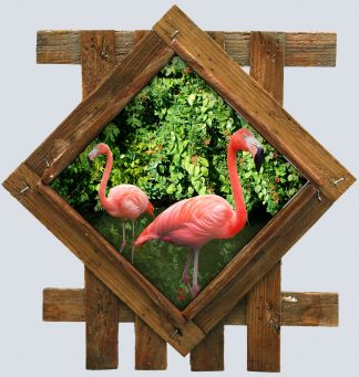"Flamingo Duo"