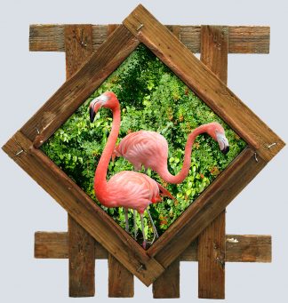 "Flamingo Duo in the Lake"