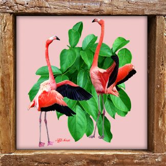 "Flamingos Flapping"