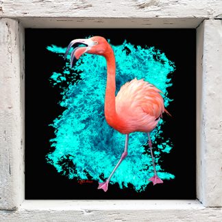 "Flamingo in Black"