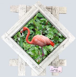 "Flamingo in the Hibiscus"