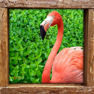 "Flamingo in the Leaves"