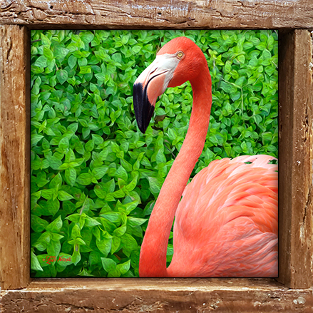 "Flamingo in the Leaves"