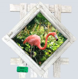 "Flamingo on the Lake"