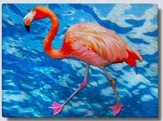 "Flamingo Strolling"