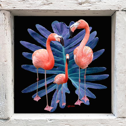 "Flamingo Trio"