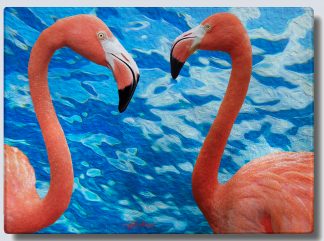 "Flamingo Two Heads"