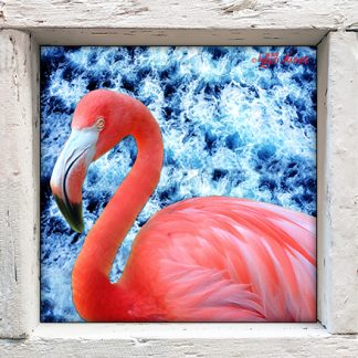 "Flamingo with Ocean Background"
