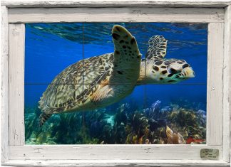"Flying Free" Tile Mural
