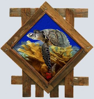 Hawksbill and elkhorn oil