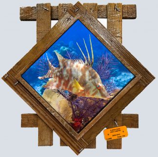 "Hogfish in the Deep"