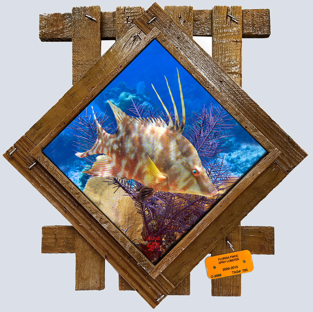 "Hogfish in the Deep"
