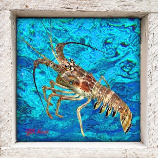 "Lobster and Ocean"