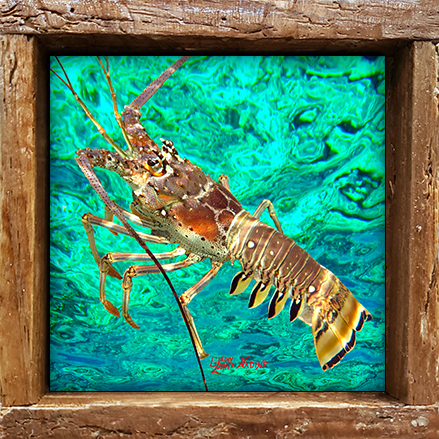 "Lobster and Ocean Water"