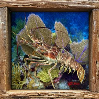 "Lobster on the Reef Oil"
