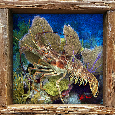 "Lobster on the Reef Oil"