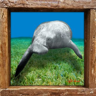 "Manatee over the Grass"