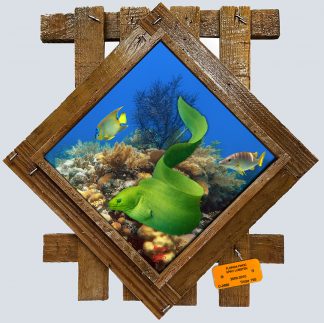 "Moray on the Ledge" Diamond Lid