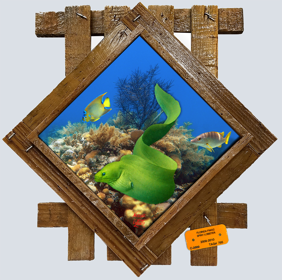 "Moray on the Ledge" Diamond Lid