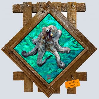 "Octopus 1 with Ocean" Diamond Lid