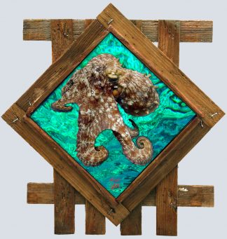 Octopus 8 with ocean background