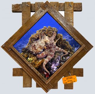 "Octopus Among the Corals" Diamond Lid
