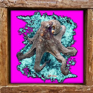 "Octopus with Purple Background"