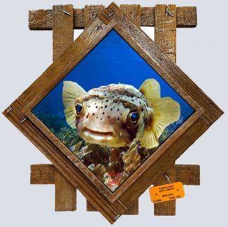 "Puffer Over the Seafans" Diamond Lid
