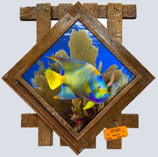 "Queen of the Corals" Diamond Lid