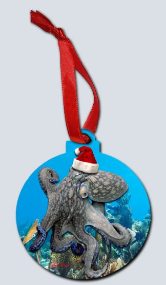 "Santa Octopus"