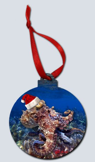 "Santa Octopus and Seafans "