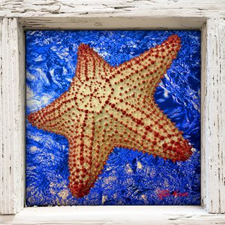 "Starfish with Blue Water"