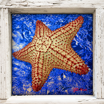 "Starfish with Blue Water"