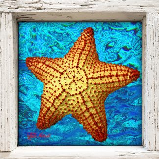"Starfish with Bright Blue Water"
