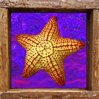 "Starfish with Purple Water"