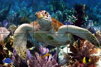 "Turtle in the Seafans"