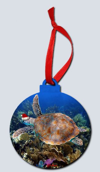 "Turtle with Santa Hat"