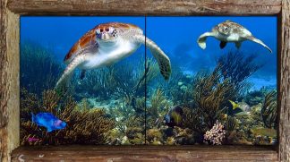 "Two Turtles with Gorgonians" 2 Tile Mini Mural