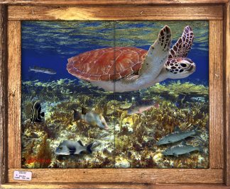 "Bahamian Reef with Bonefish" Tile Mural