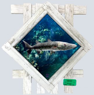 "Barracuda" Diamond Lid