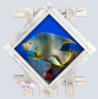 "Blue Angelfish and Seafans" Diamond Lid