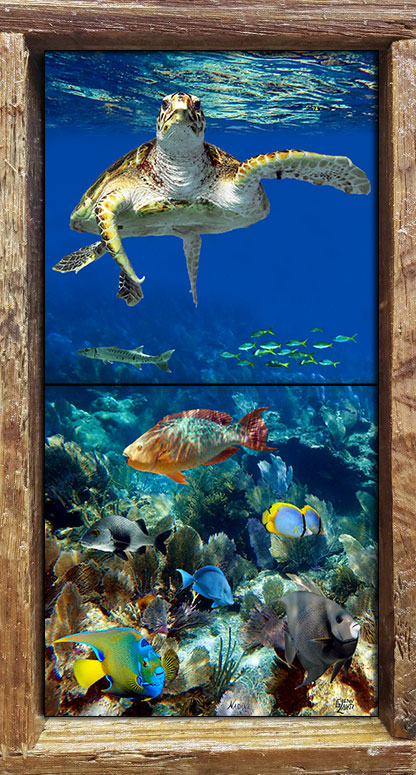 "Cruising The Reef"