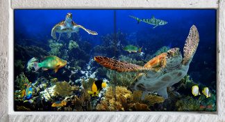 "Deep Diving with Friends"
