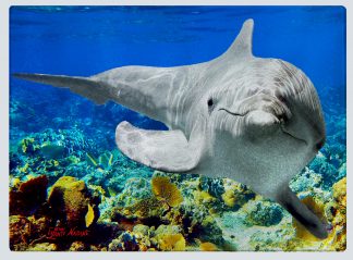"Dolphin over the Rocks" Cutting Board