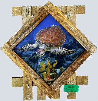 "Diving Deep" Diamond Lid