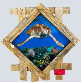 "Diving Turtle" Diamond Lid